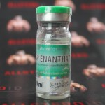 SP Enanthate 250мг\мл - цена за 10мл
