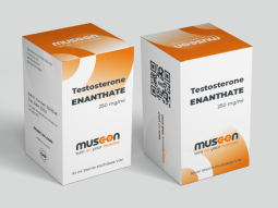 Musc-on Testosterone Enanthate 250mg/ml - цена за 10 мл